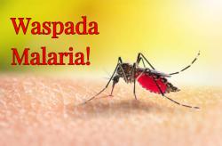 Kasus Malaria Nihil di Pekanbaru, Warga Diimbau Tetap Waspada